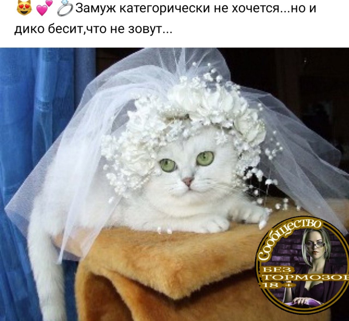 Вышла замуж прикол