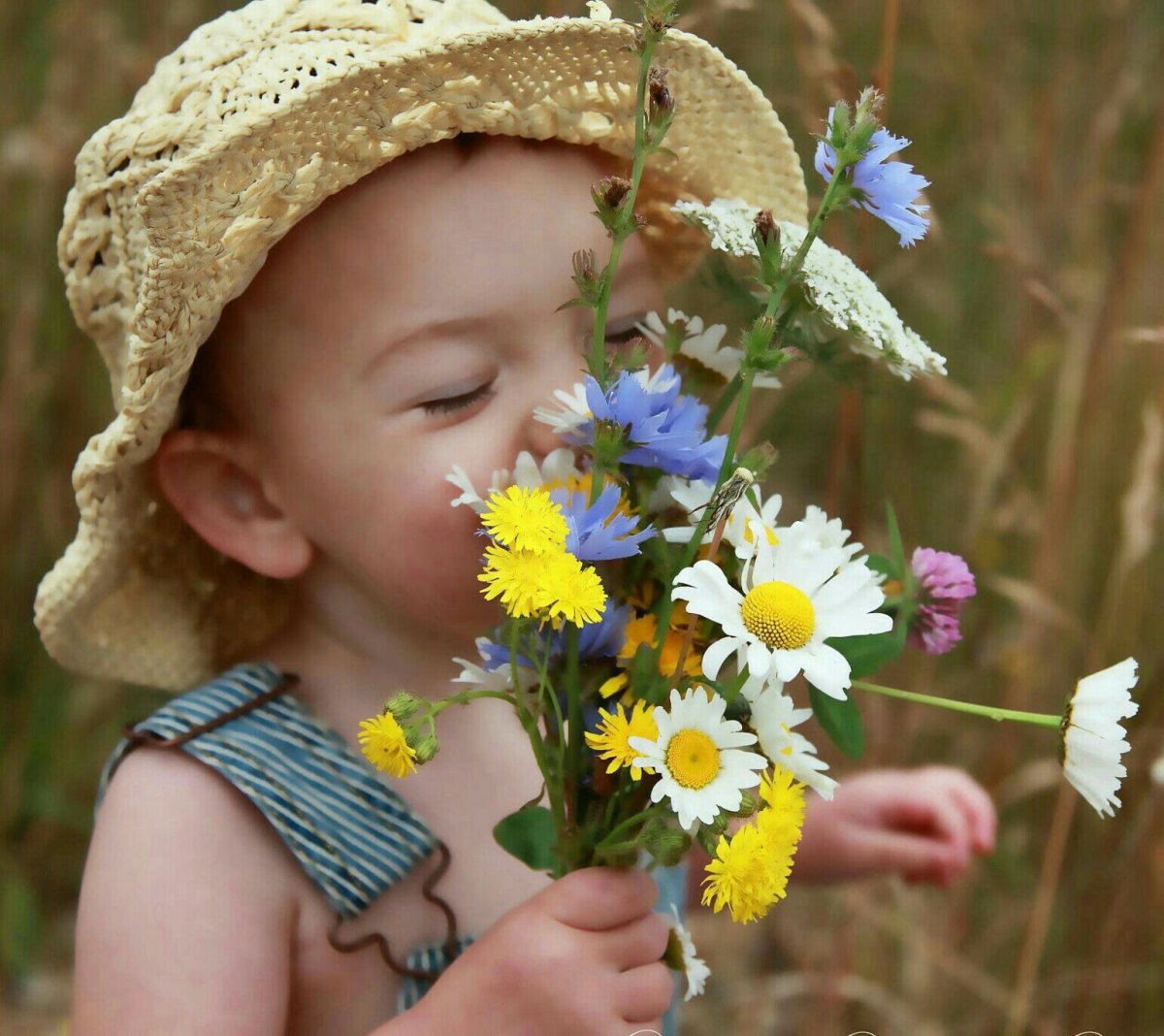 Утро лето дети