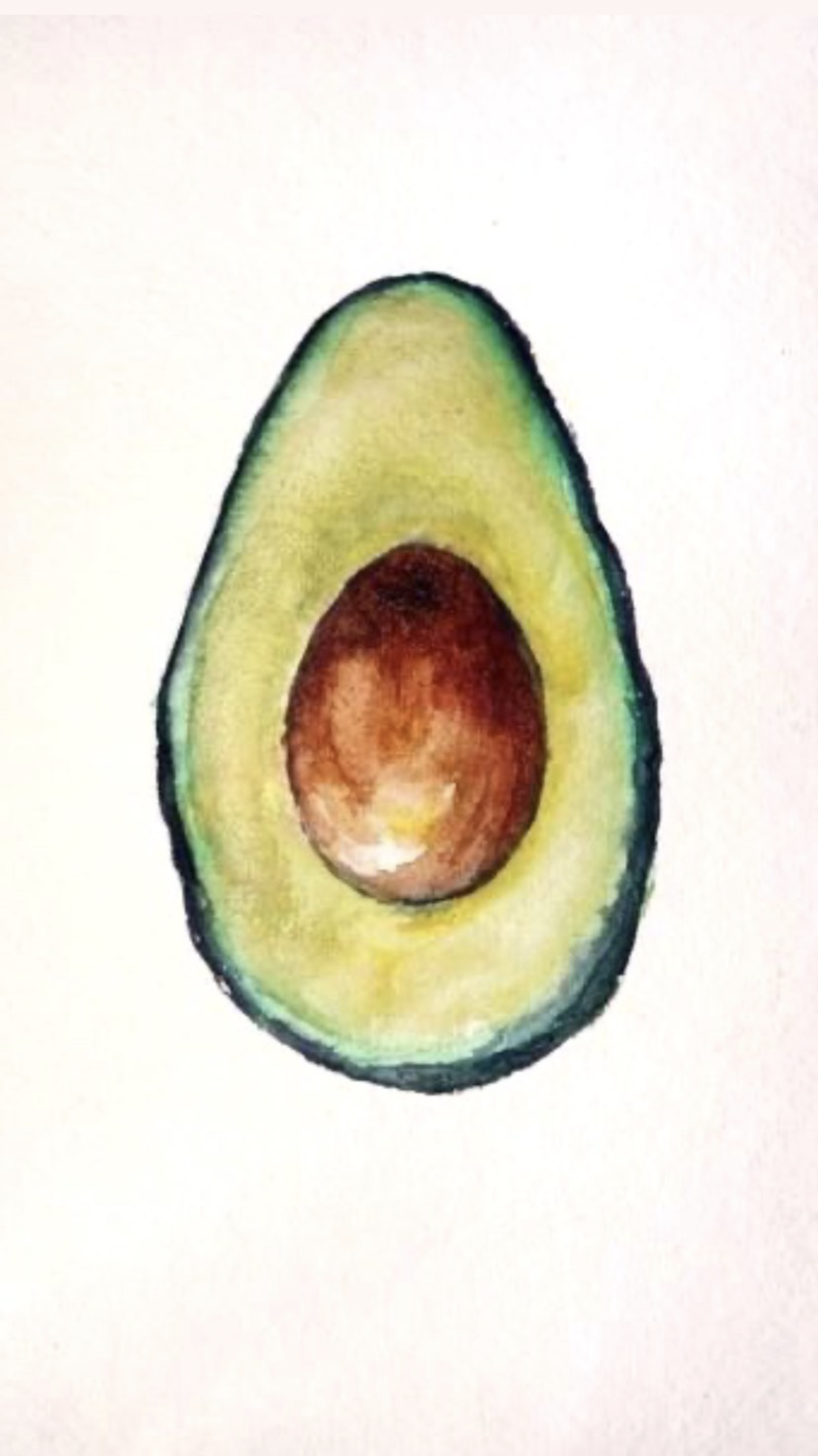Авокадо рисунок для срисовки