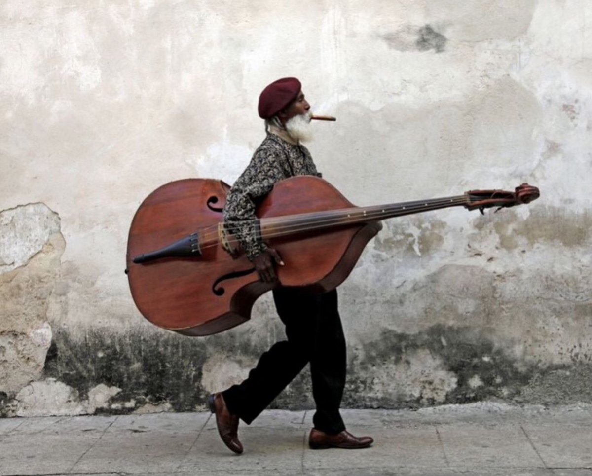 Трубадур Бременские музыканты 1969