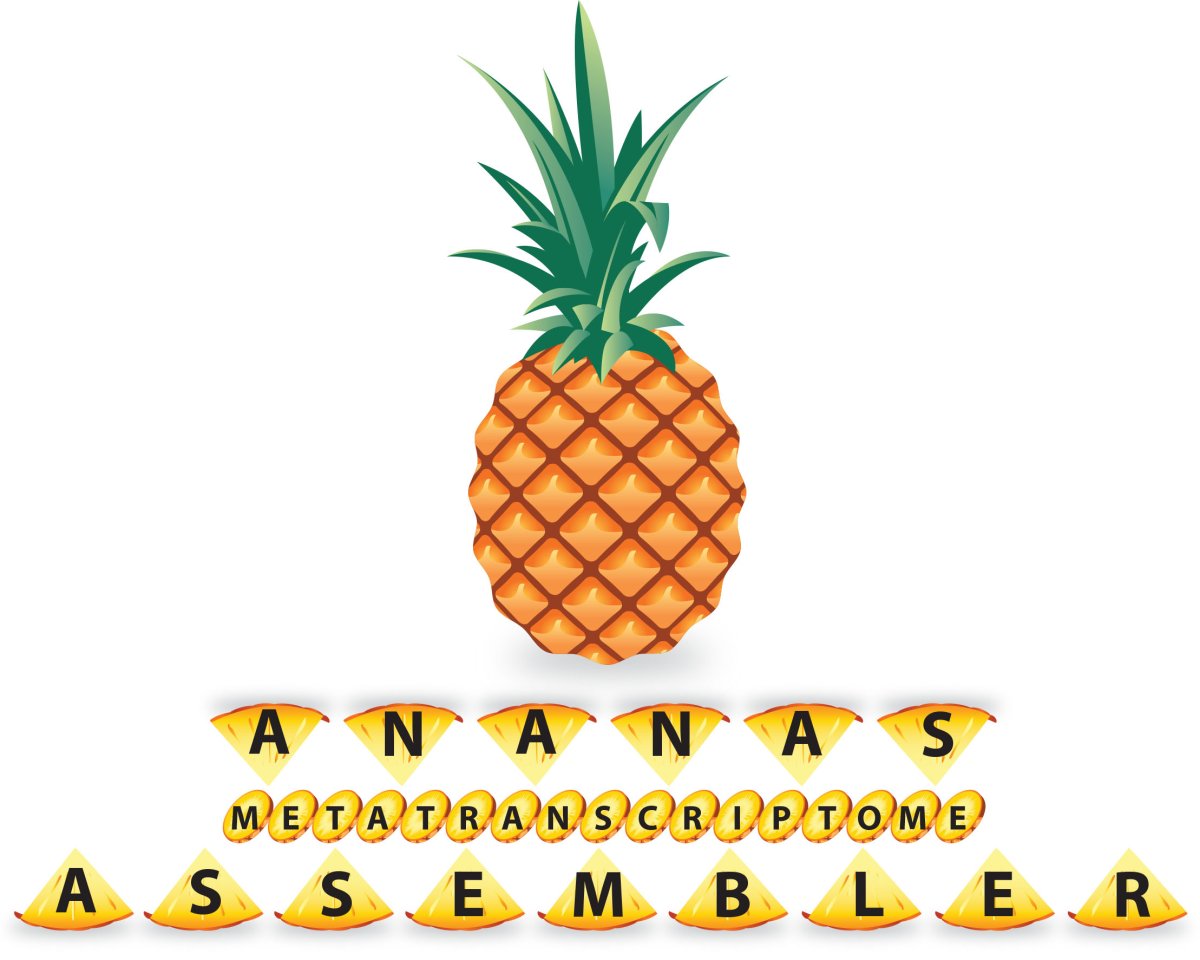 Надпись ананас на английском