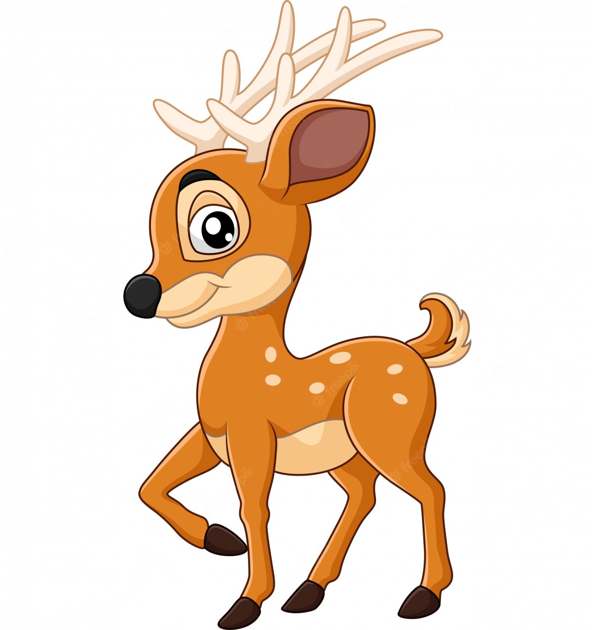Deer cartoon