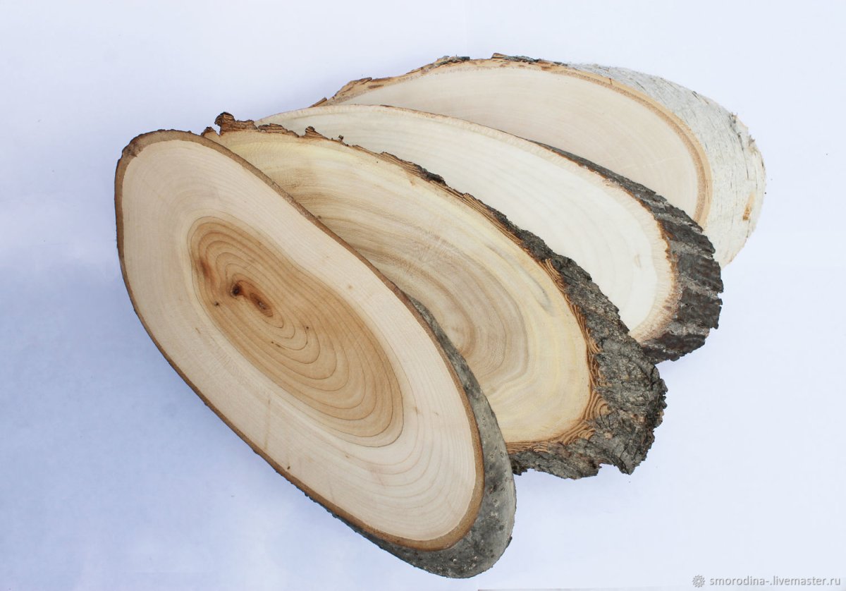 Спил дерева f4150g