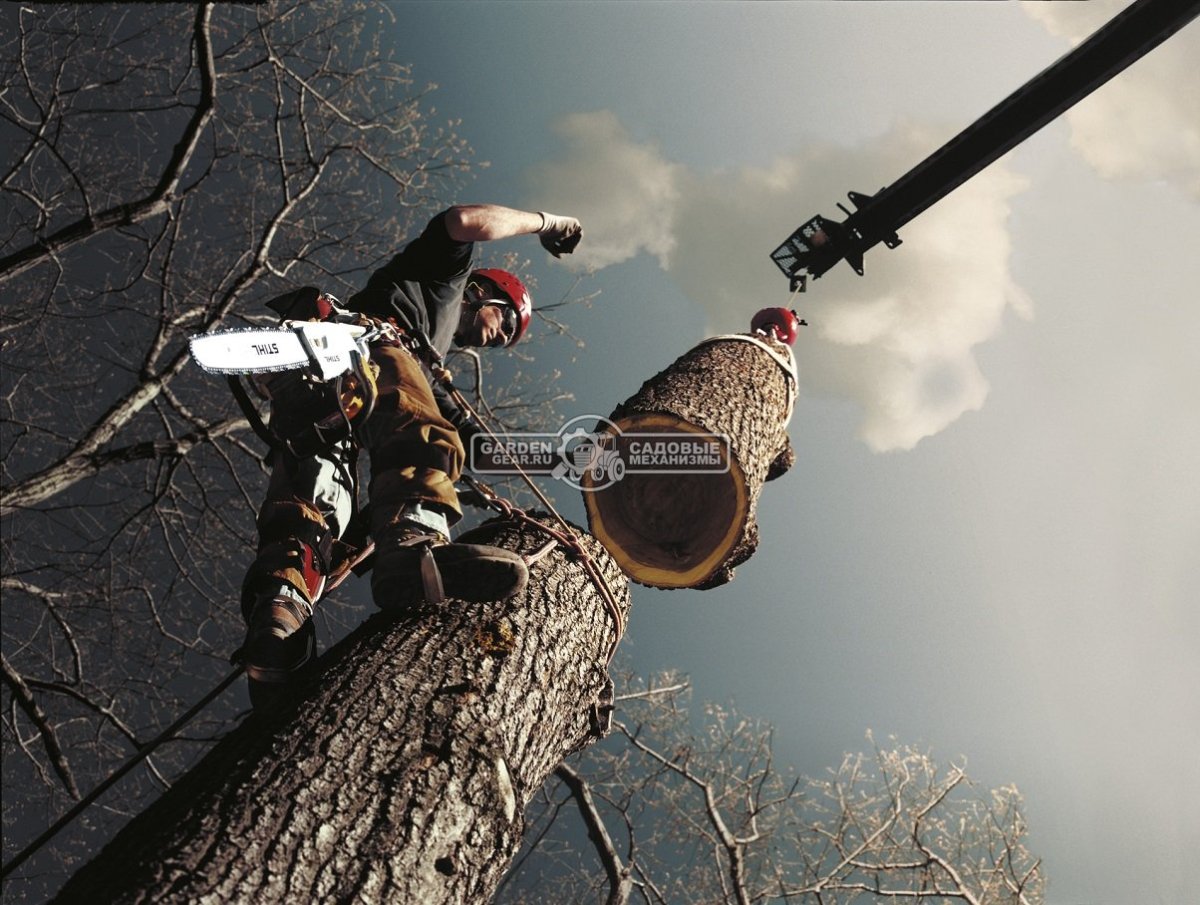 Кронирование деревьев