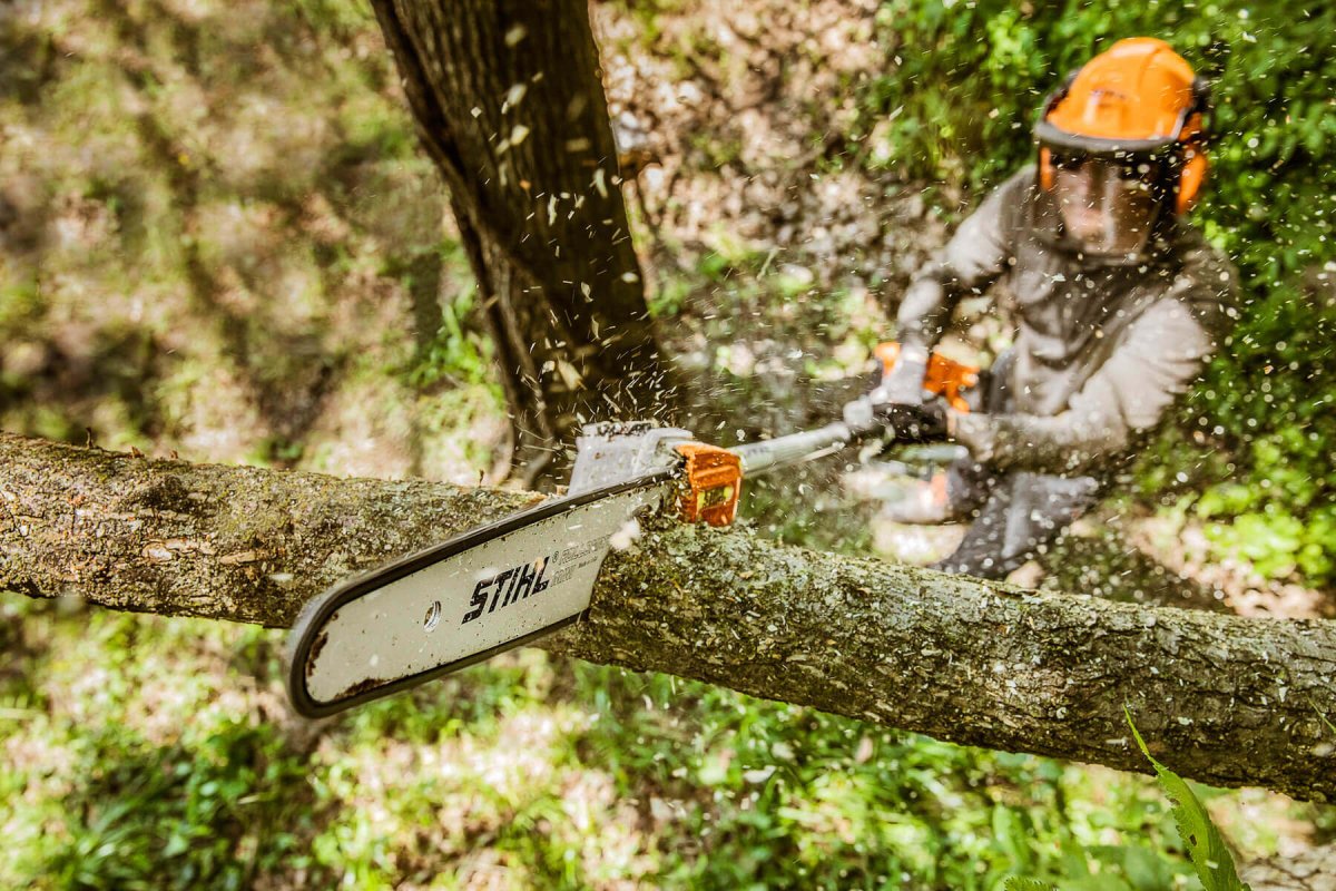 Спилы дерева для сада