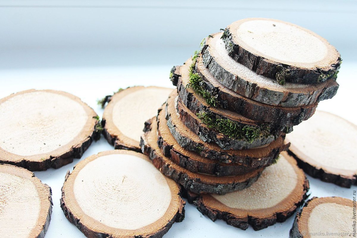 Спил дерева f4150f