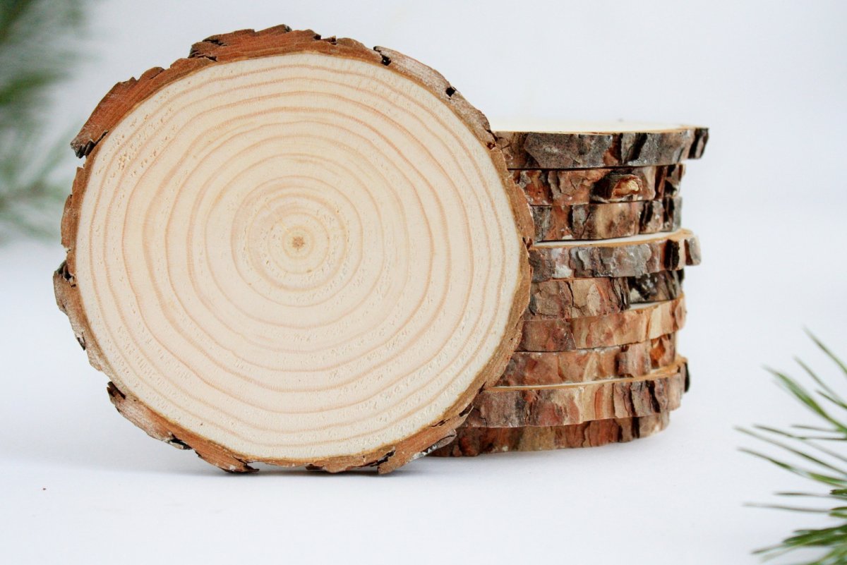 Спил бревна