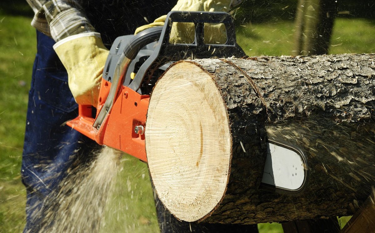 Распиленное дерево
