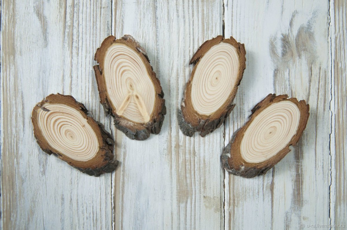 Срез дерева для декора
