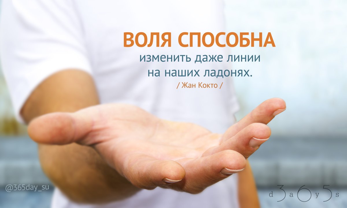 Цитаты про силу воли