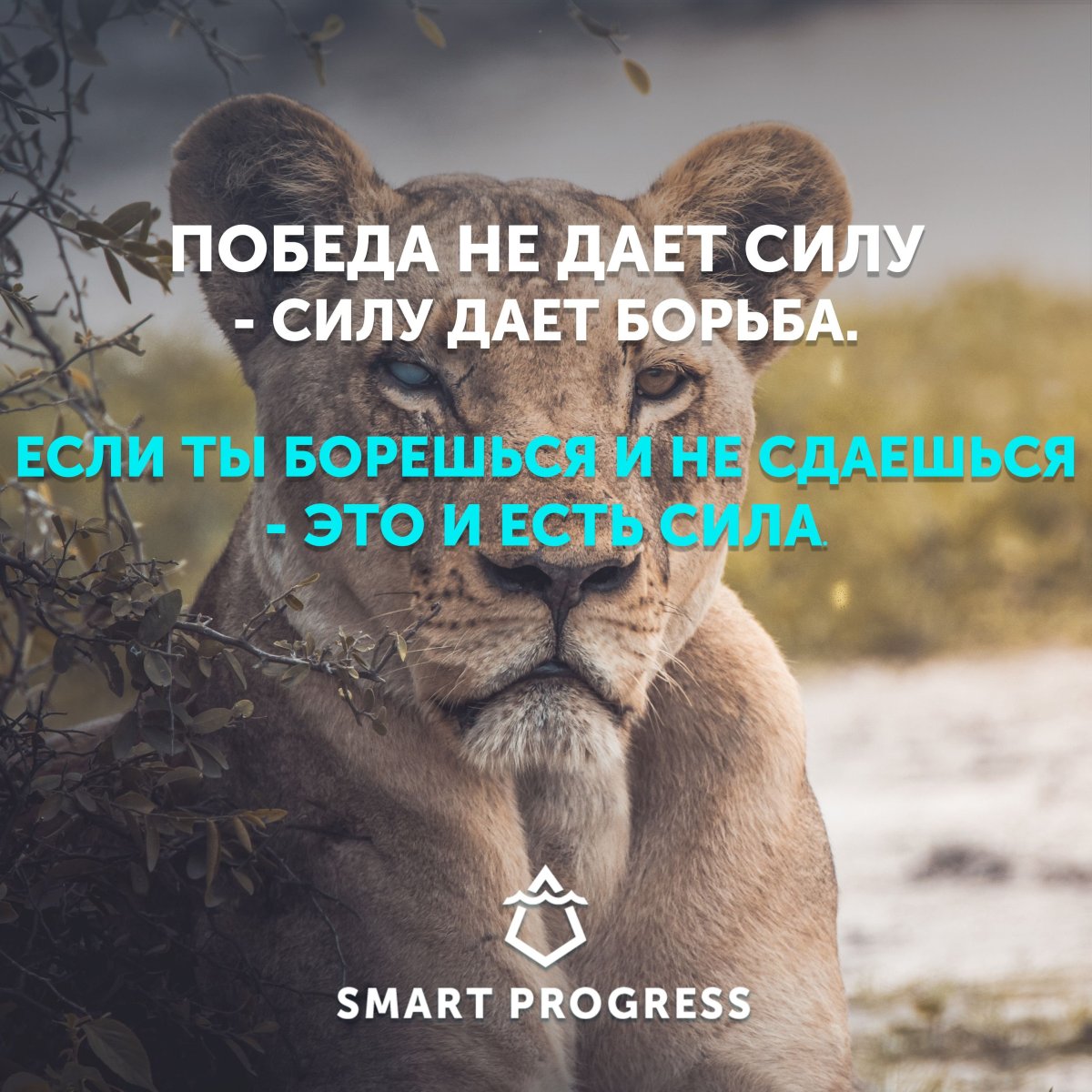Цитаты про силу