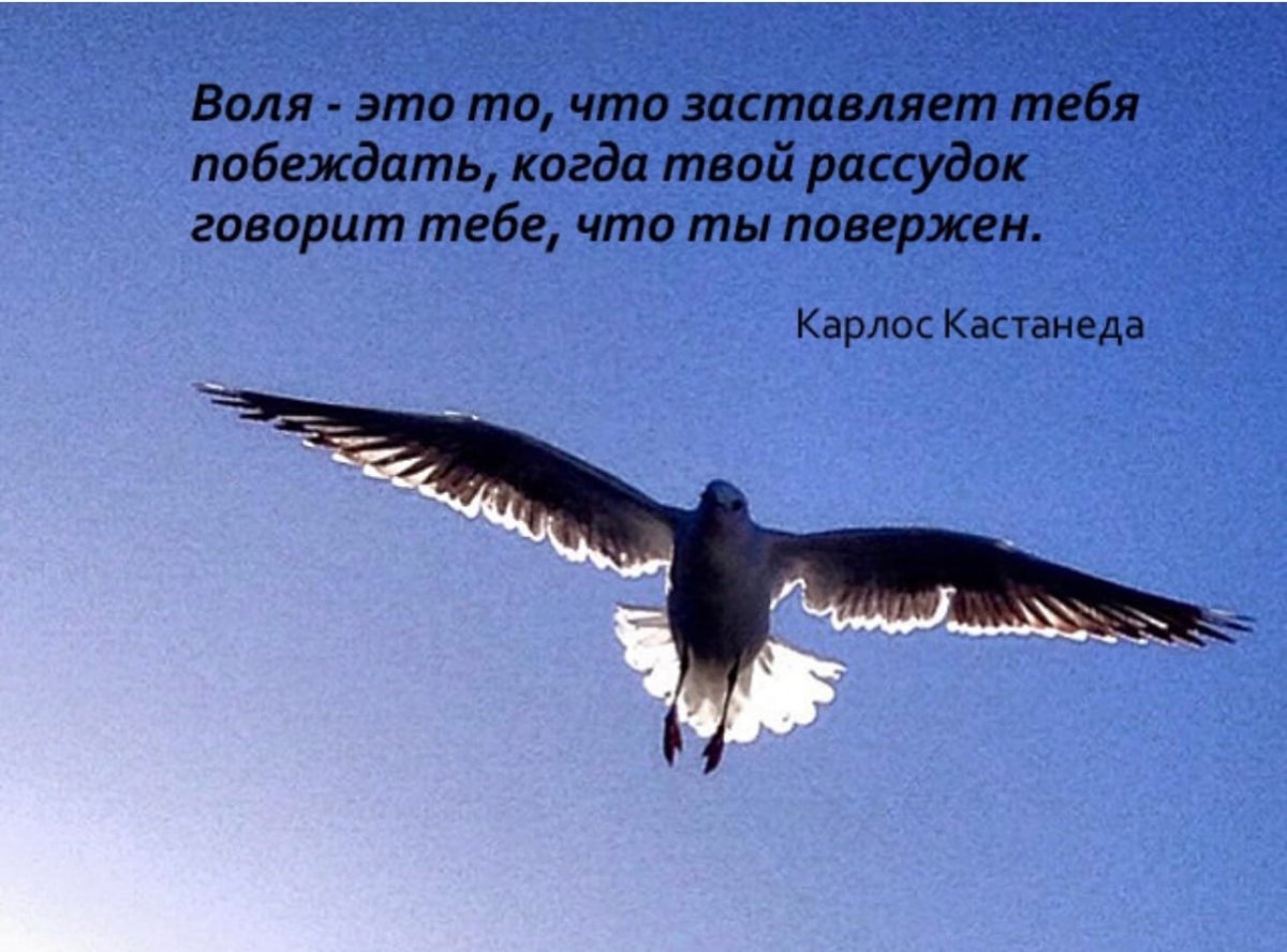 Стихи о силе духа