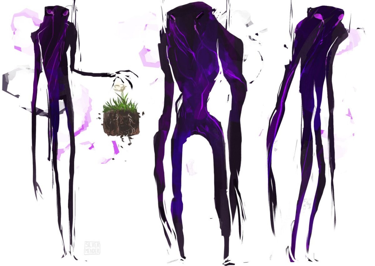 Анатомия ЭНДЕРМЕНА