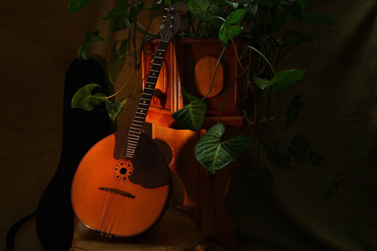 Домра альтовая