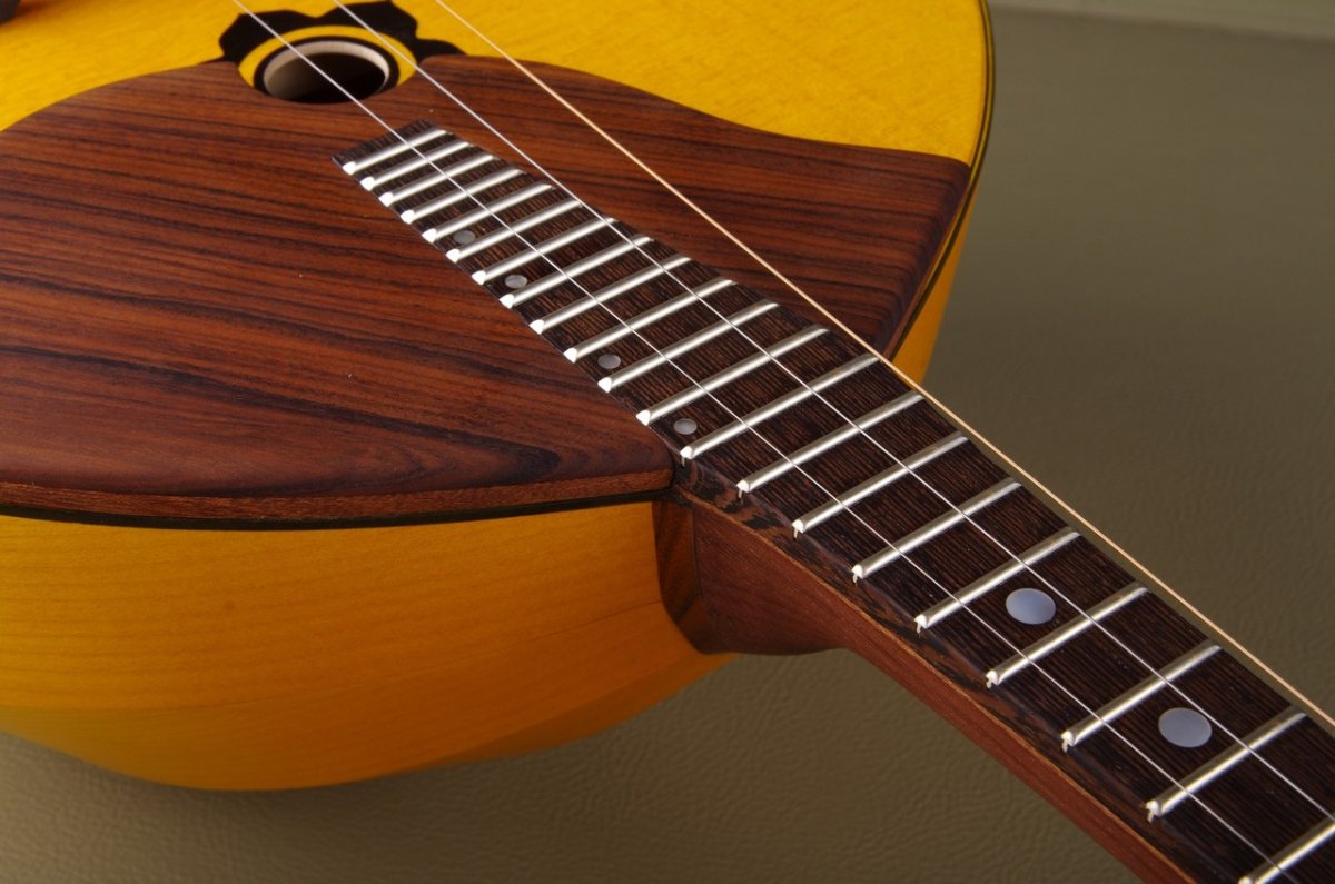 Домра красивая