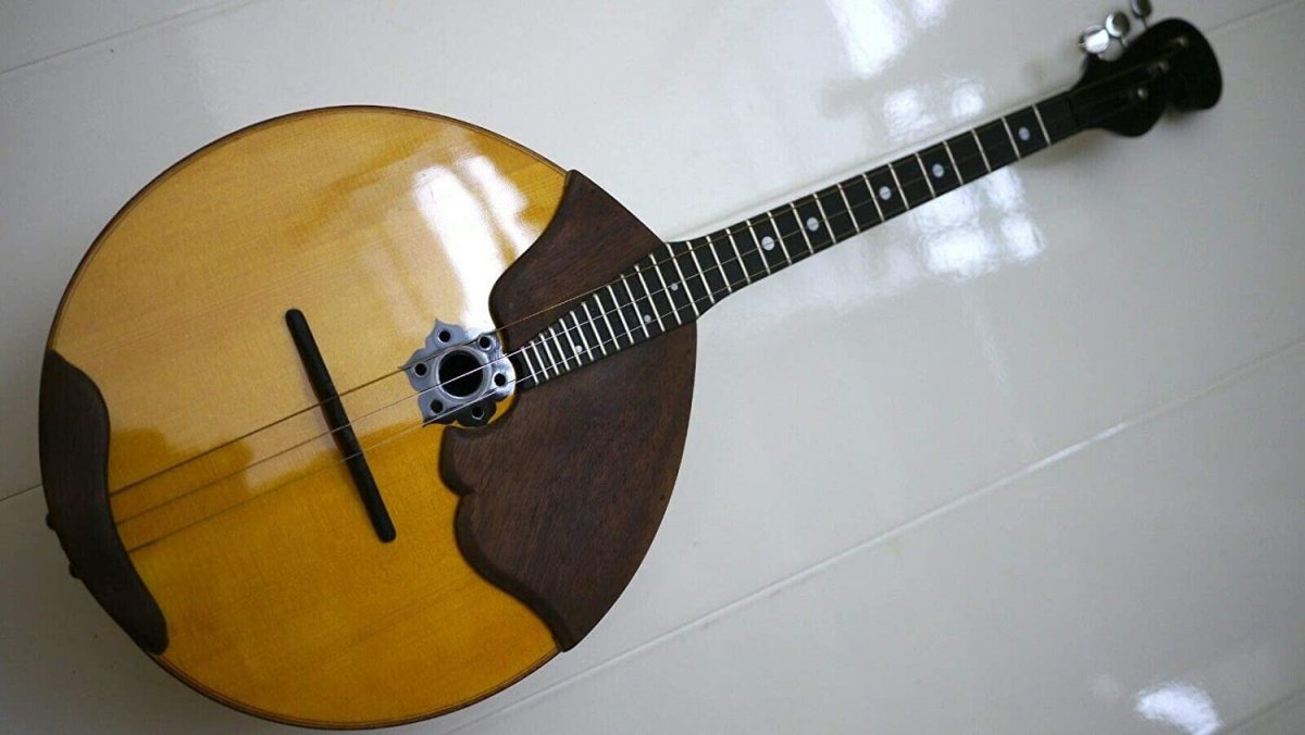 Домра музыкальный инструмент Эстетика