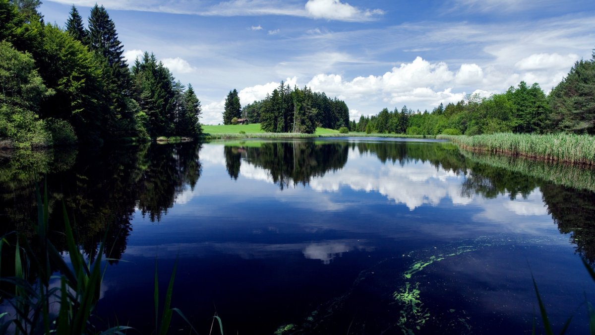 Голубое озеро Электросталь