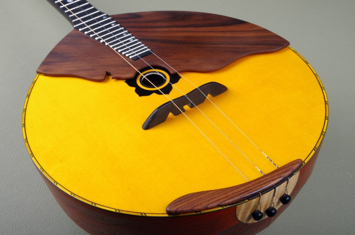 Струнные инструменты домра