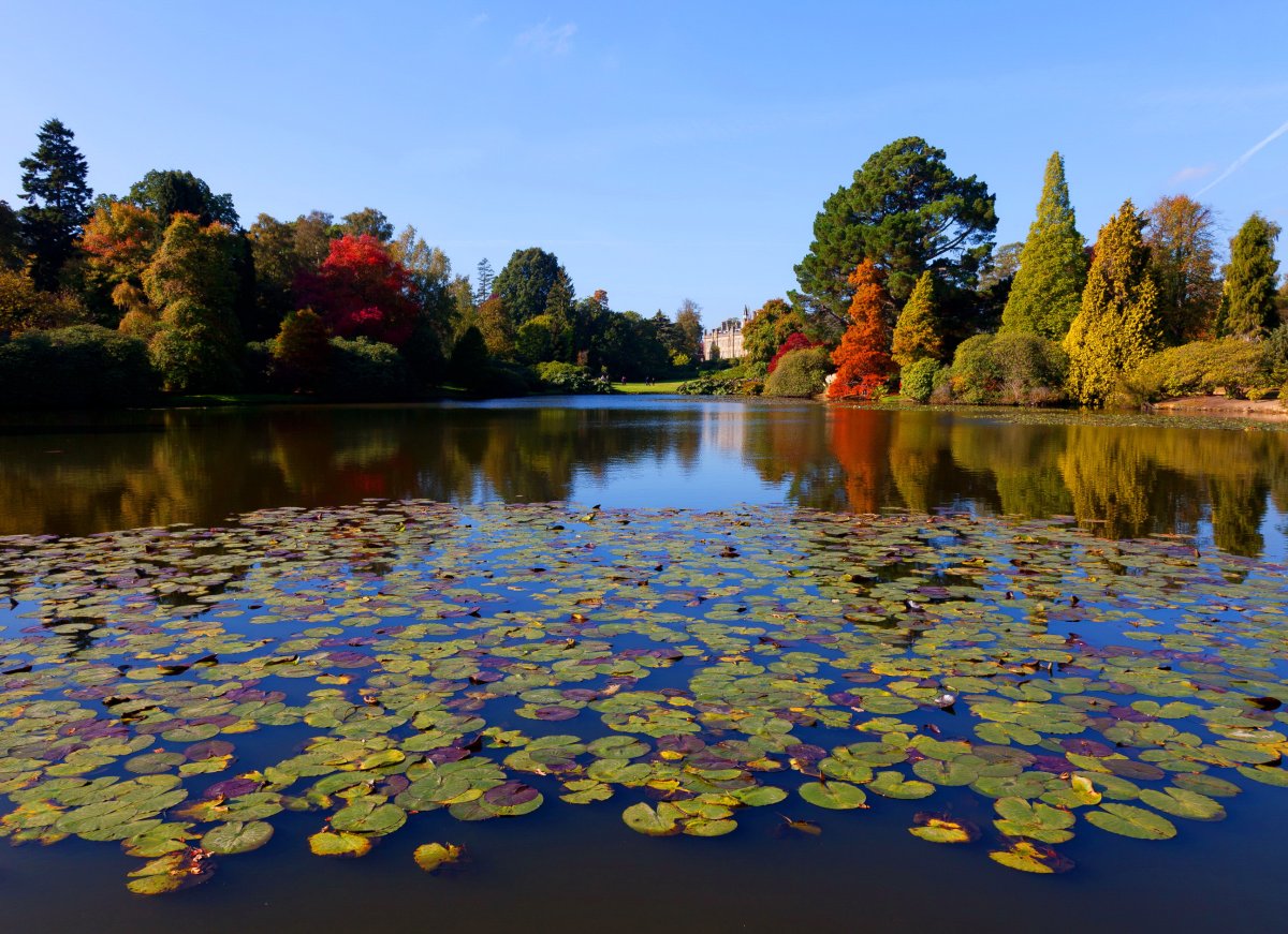 Шеффилд парк пруд