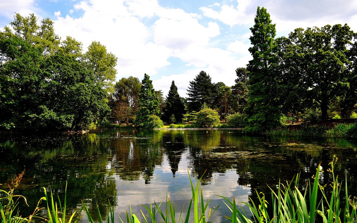 Лесные пруды Германии