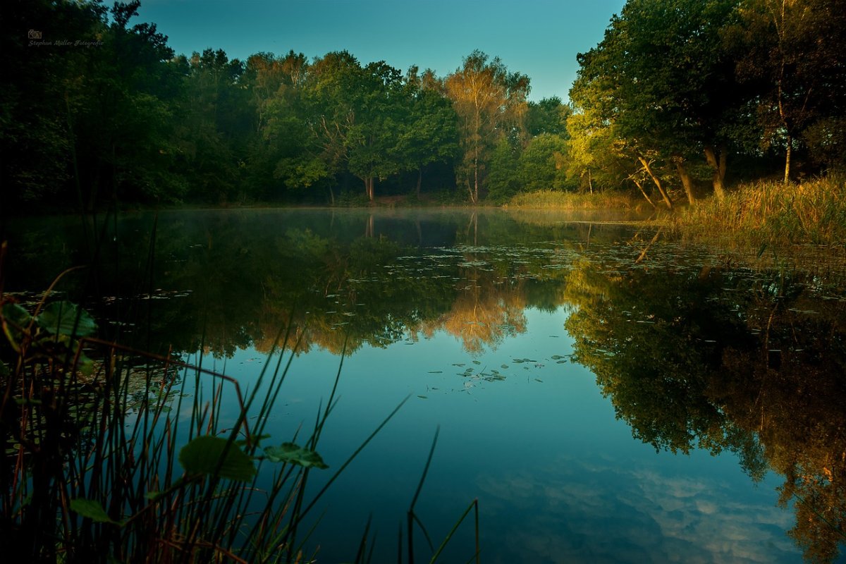 Фотографии водоемов