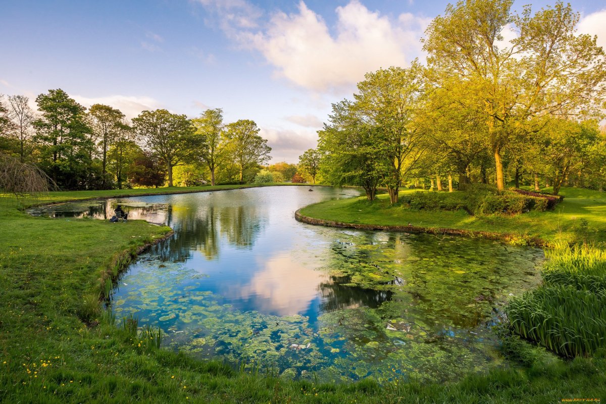 Фотообои на стену природа с водоемом