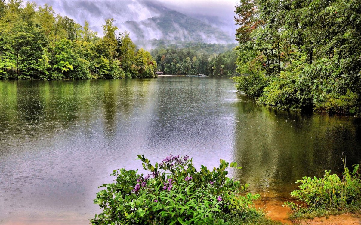 Хадыженское Лесное озеро