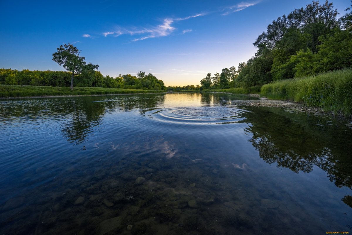 Речушка Вонча
