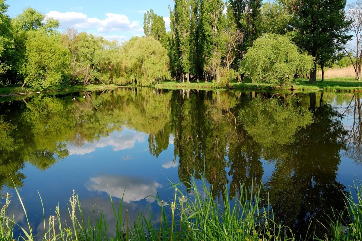 Пресные водоемы