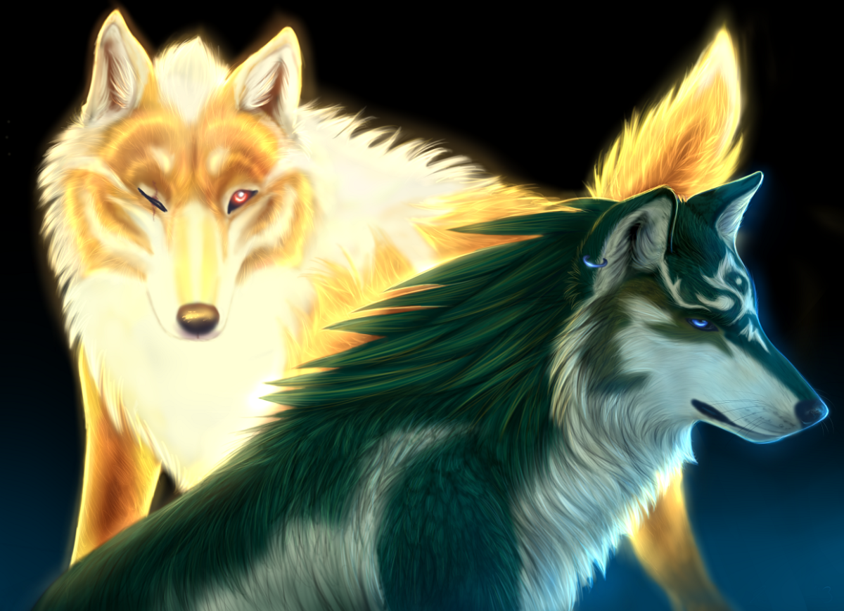 Красивые статусы с волками