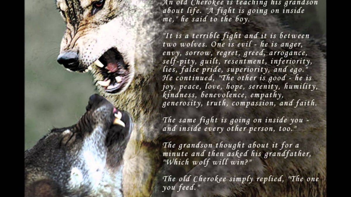 Стих про волка