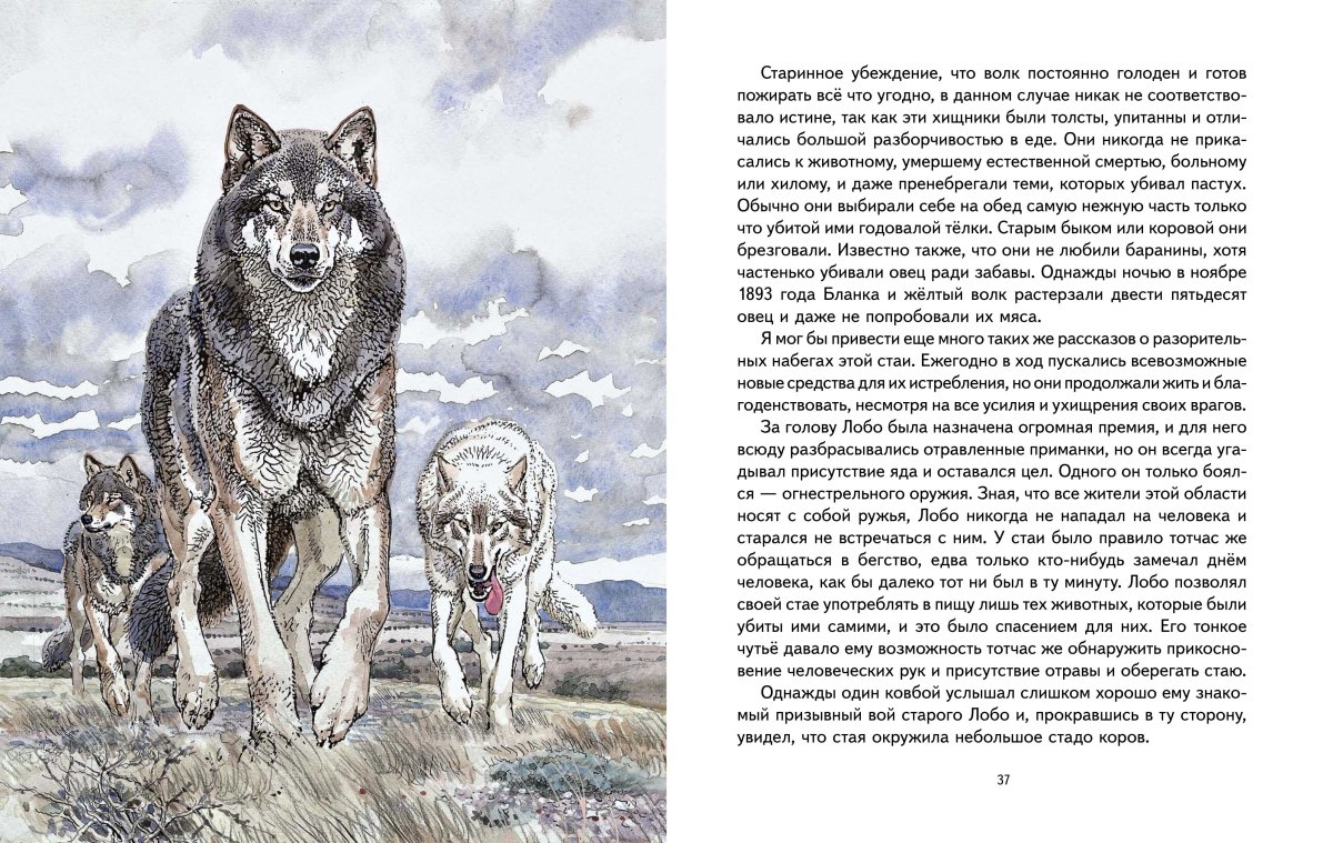 Волчий дождь аниме оборотень