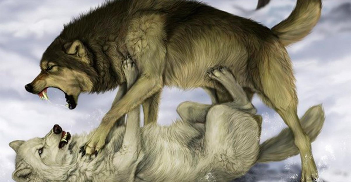 Призрак лютоволк Джона