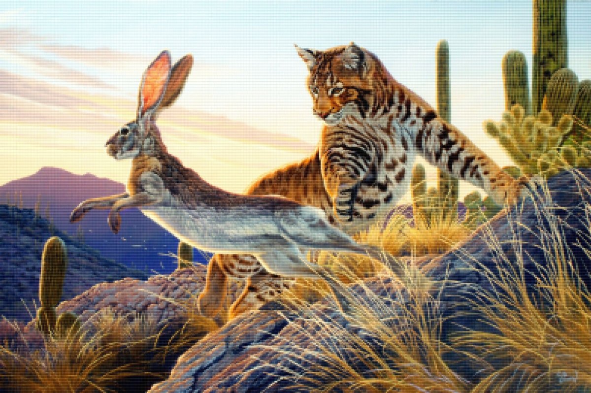 Ал.Агнев художник-анималист