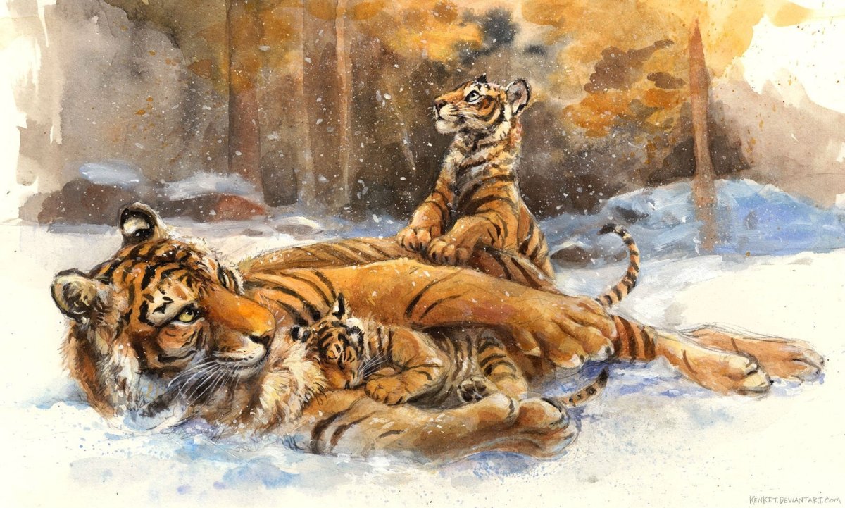 Тигр и тигрица