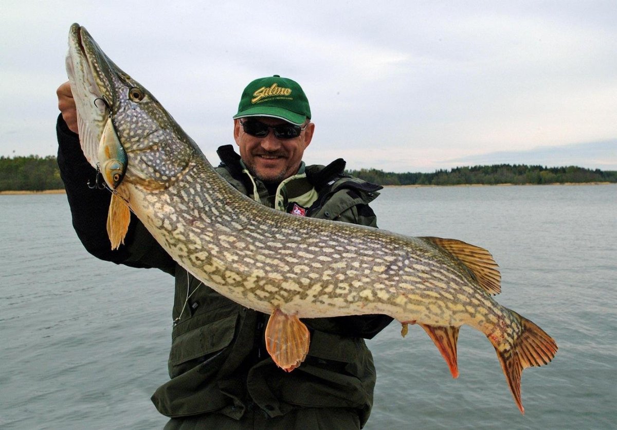 Самая большая рыба в Оби