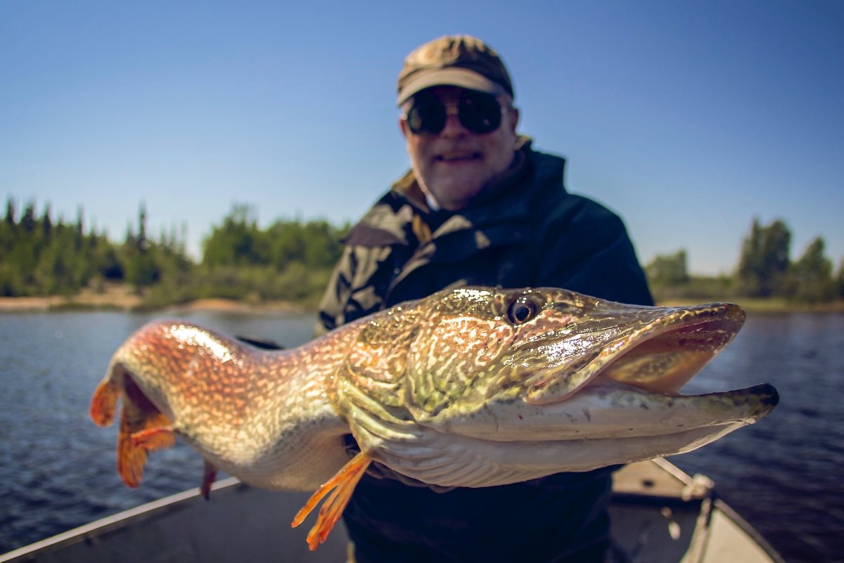 Рыбалка в России