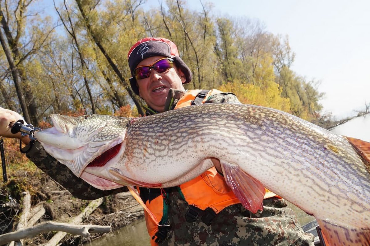 Гигантская щука