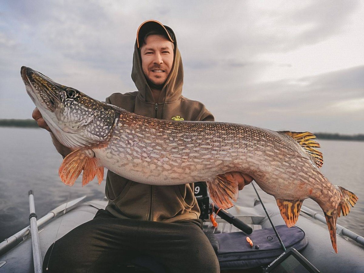 Телки с рыбой