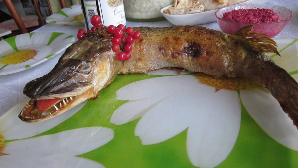 Ловля большой щуки