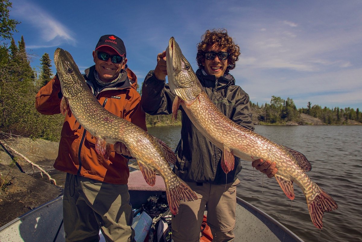 Крупная щука зимой