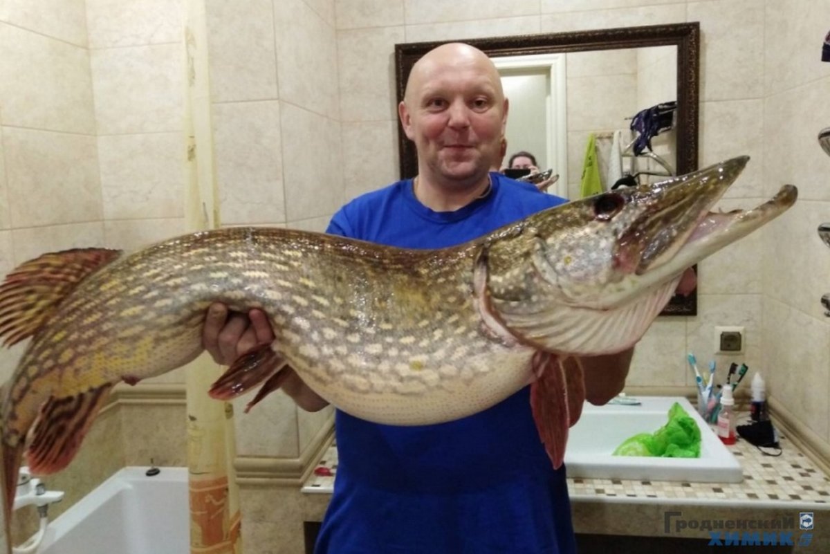 Рыба фаршированная чулком