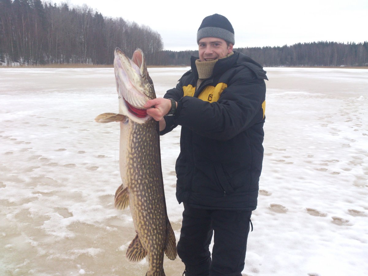 Щука фаршированная