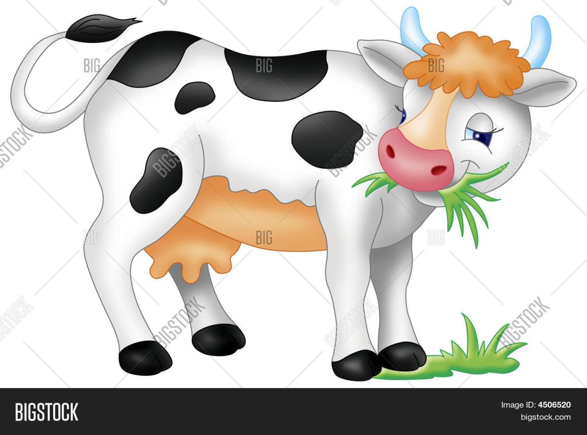 Reginast777 бычок