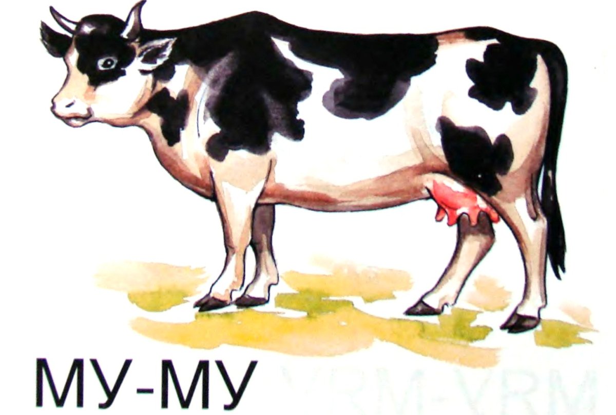 Худая корова из мультфильма