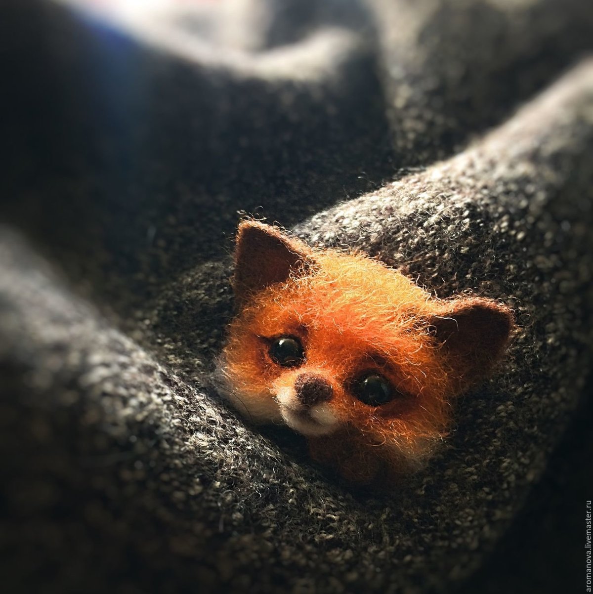 Милый Лисенок