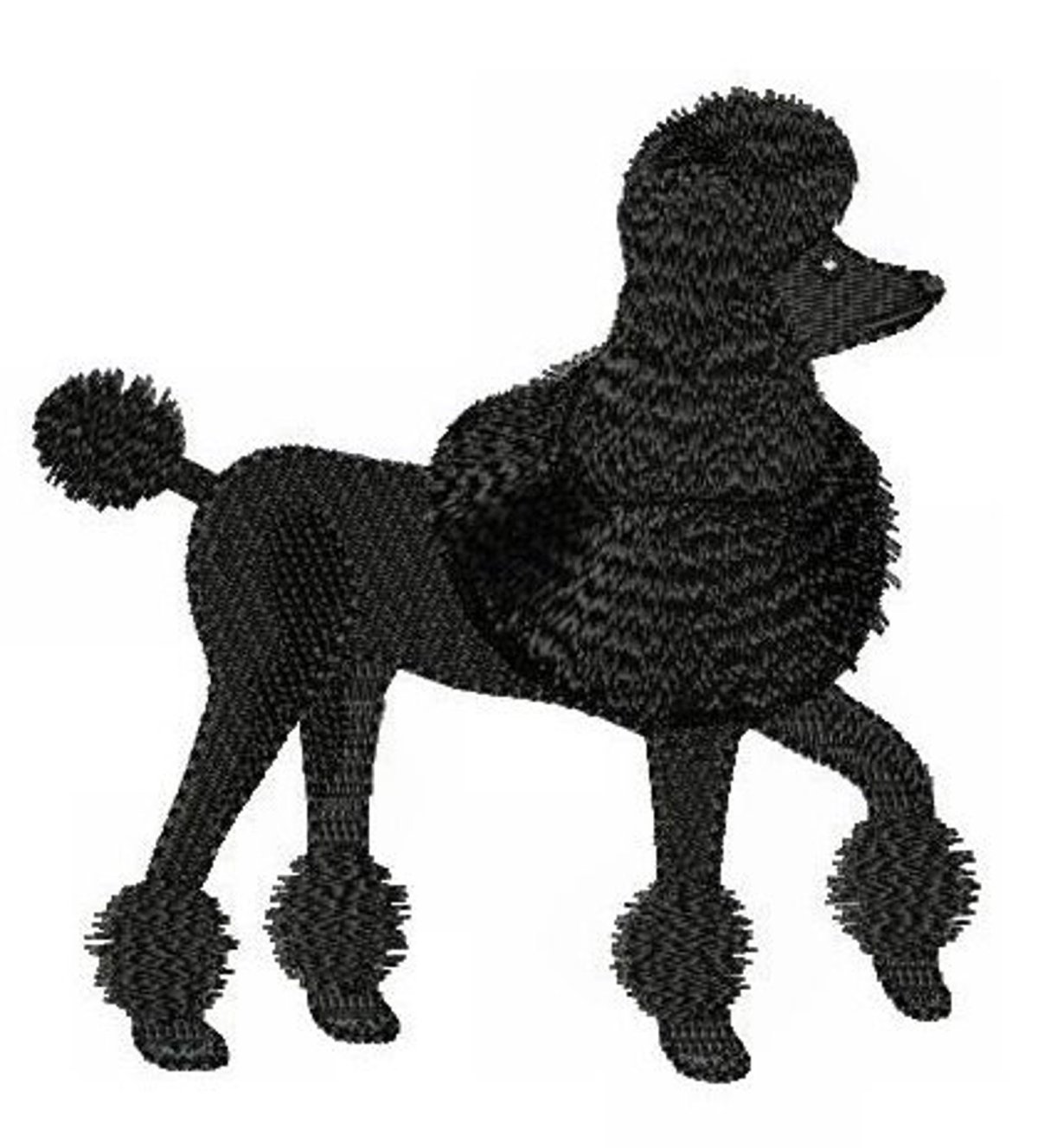 Пудель зарисовки