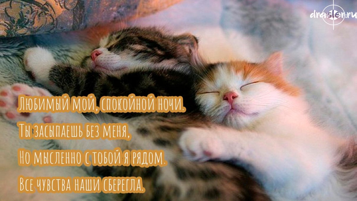 Открытки спокойной ночи