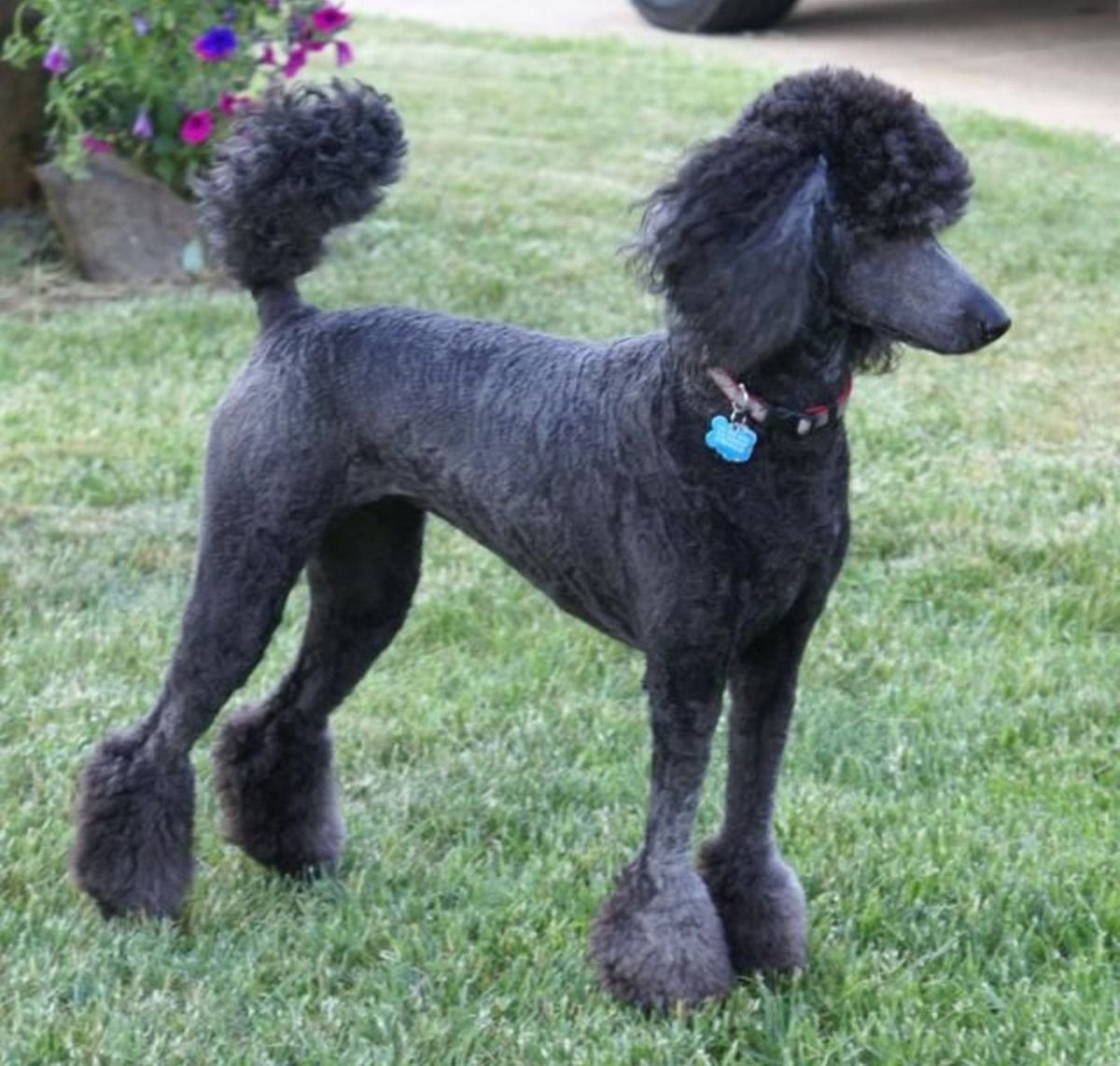 Буратино фильм Мальвина Пьеро