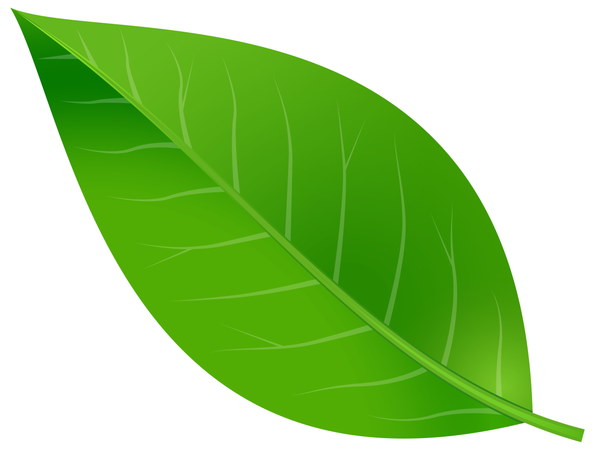 Кленовый лист цветной